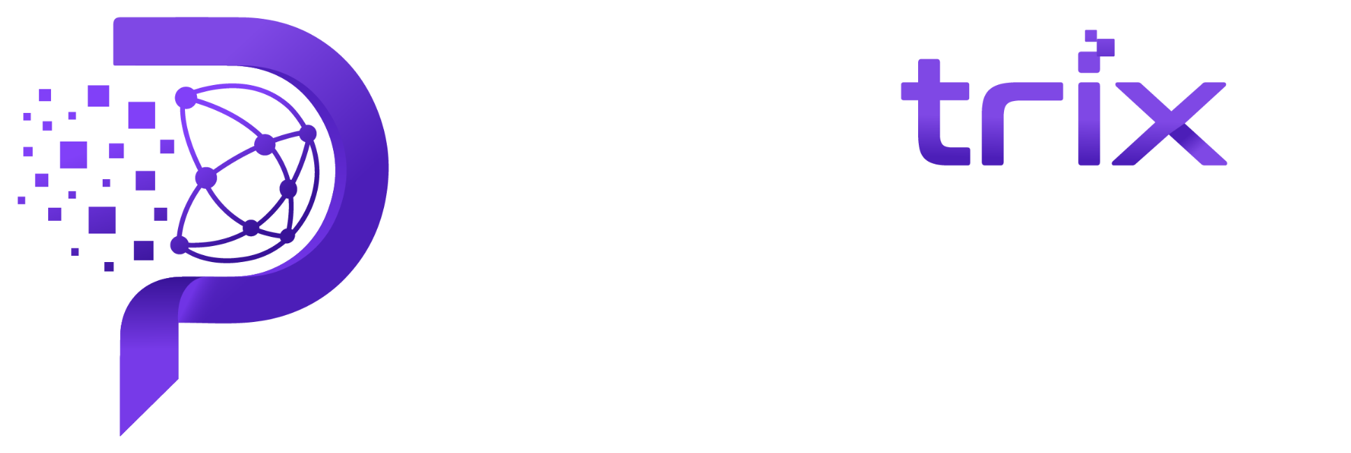 Paratrix Solutions