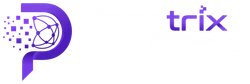 Paratrix Solutions